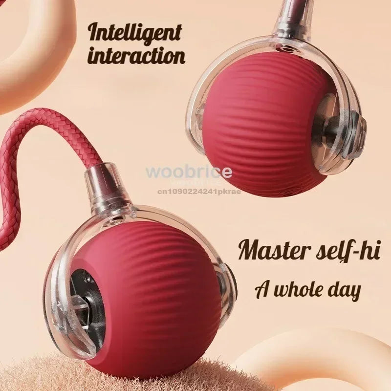 Smart Cat Interactive Ball – Rechargeable Rolling Toy with Faux Tail