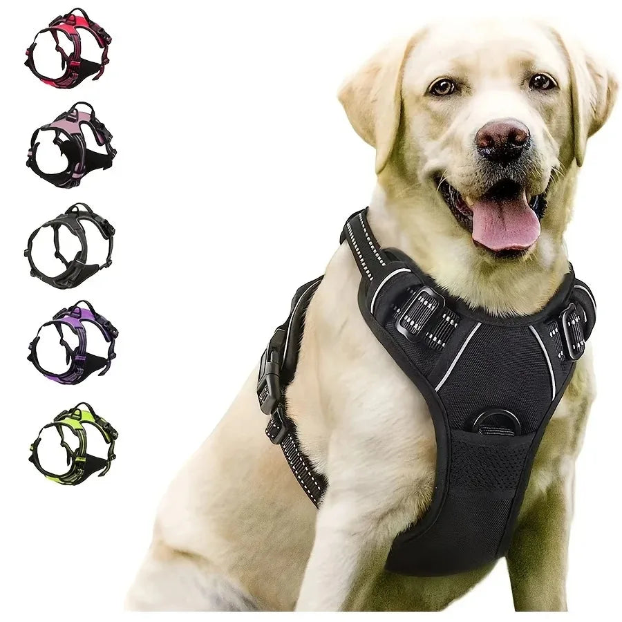 Dog Collar and Harness Set – Leather Vests and Leash for Small to Medium Dogs