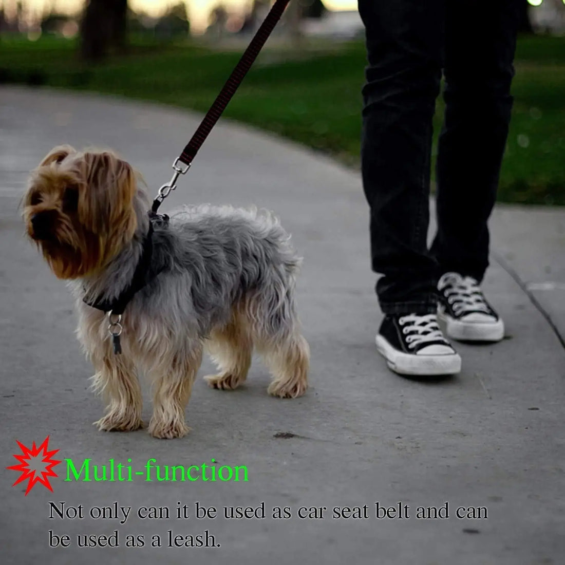 Adjustable Pet Seat Belt – Reflective Car Harness for Dogs and Cats