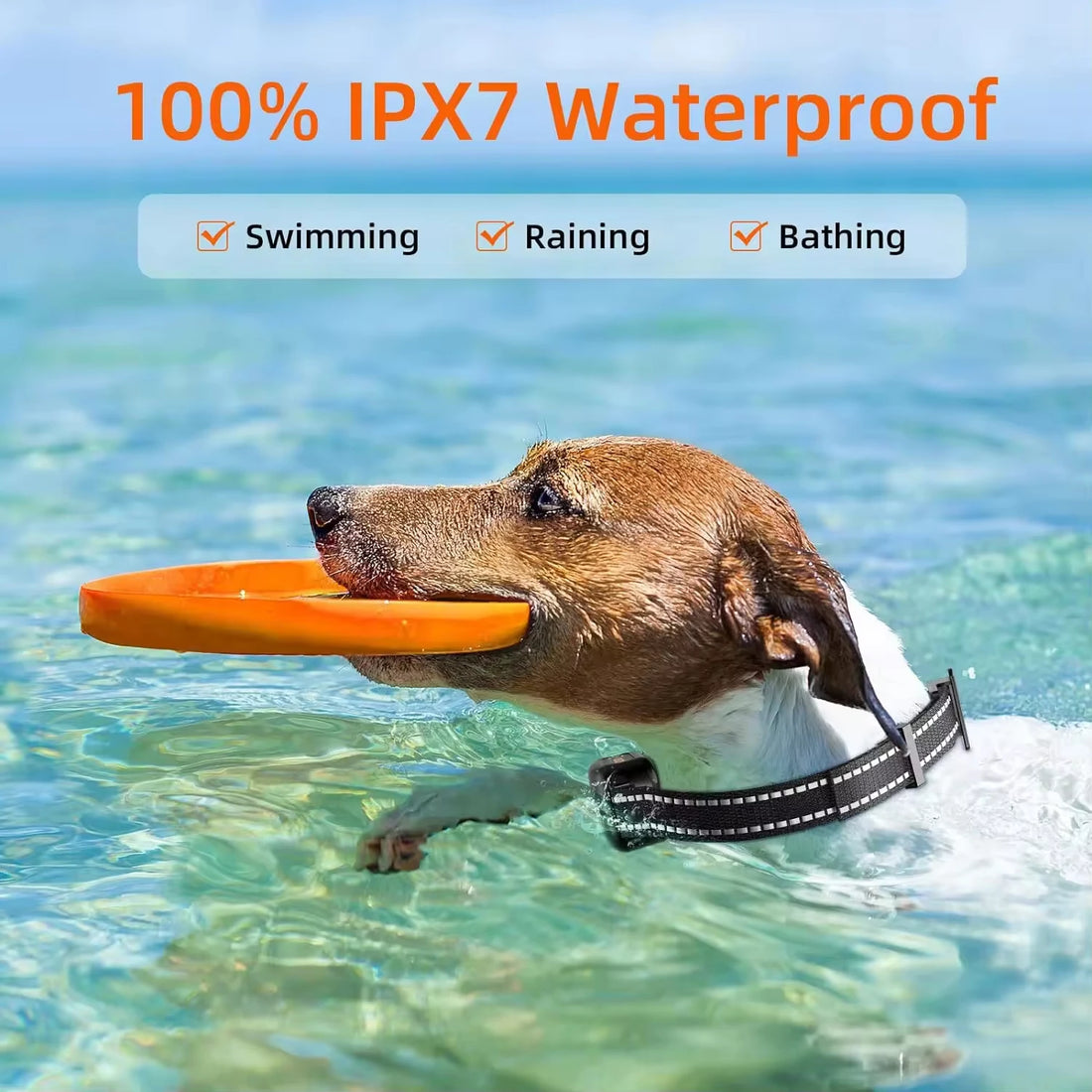 Electric Dog Training Collar – Rechargeable Waterproof Remote Control with Bark Stop