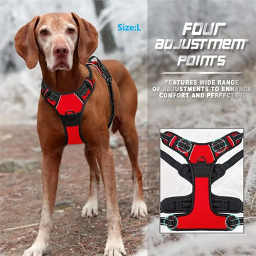 Dog Collar and Harness Set – Leather Vests and Leash for Small to Medium Dogs